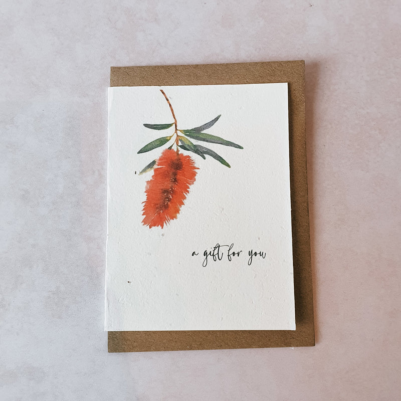 Complimentary Sprout Card - "Bottlebrush" A Gift For You